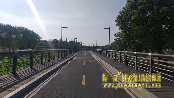 阳澄湖半岛自行车道