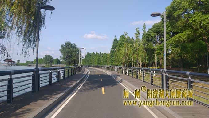 阳澄湖半岛自行车道