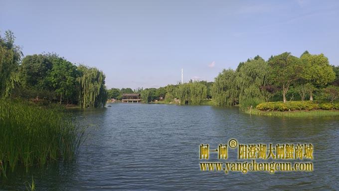 阳澄湖半岛仙樱湖公园