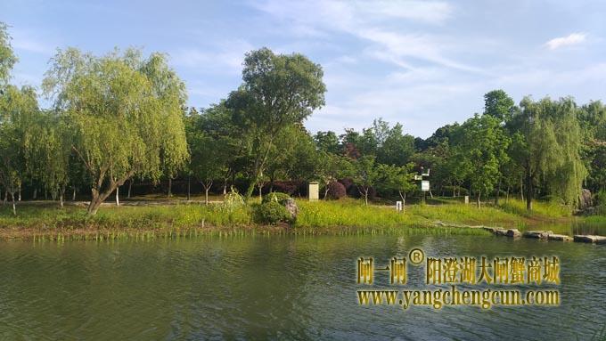 阳澄湖半岛仙樱湖公园