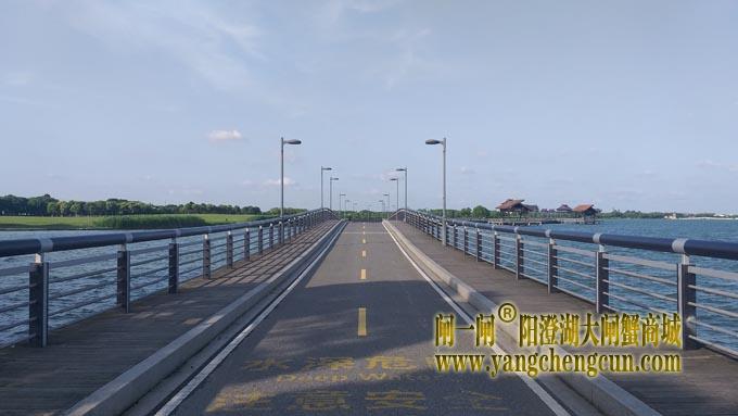 阳澄湖半岛自行车道