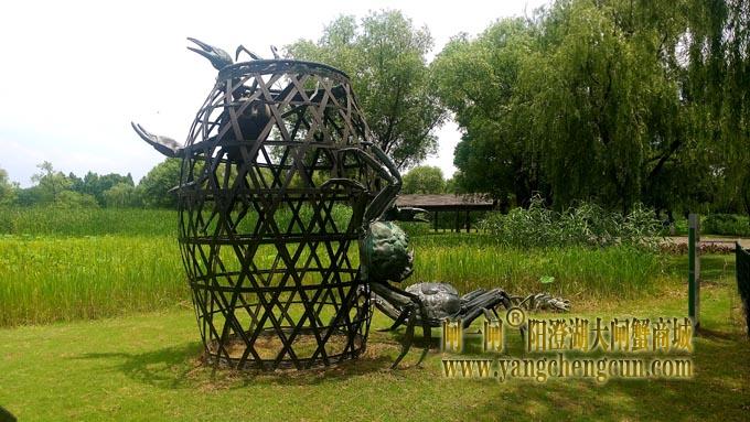 阳澄湖半岛——莲池湖的荷花开了