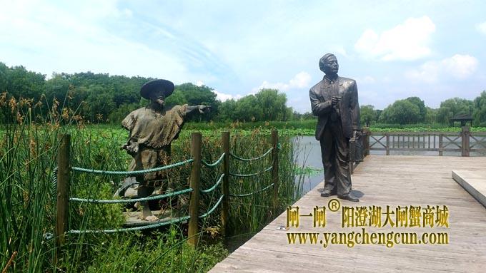 阳澄湖半岛——莲池湖的荷花开了