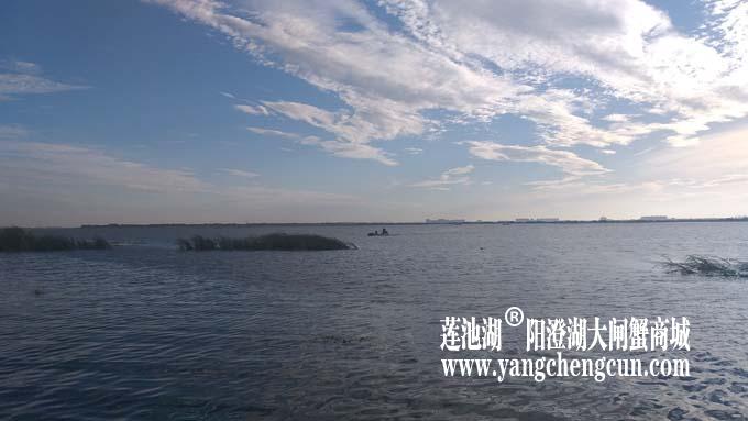 阳澄湖半岛——清晨