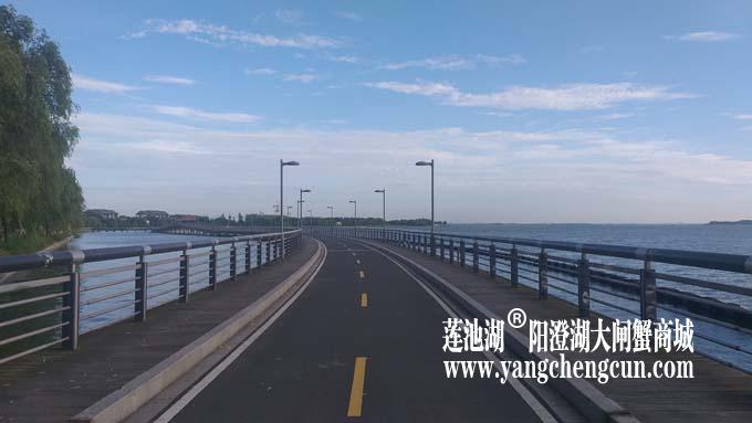 阳澄湖半岛——清晨