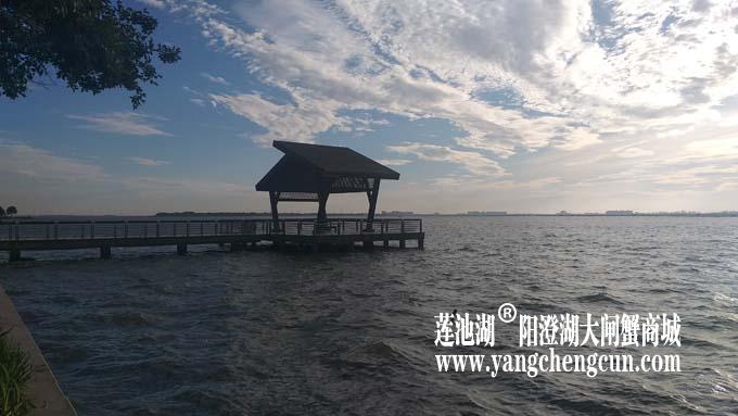 阳澄湖半岛——清晨