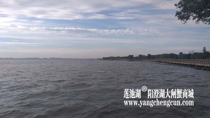 阳澄湖半岛——清晨