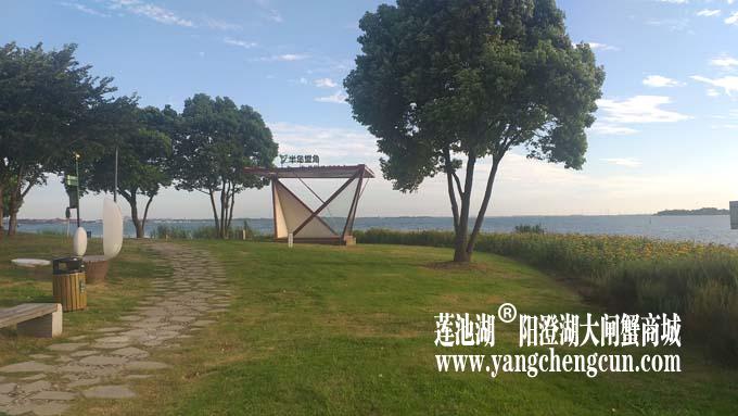 阳澄湖半岛——清晨