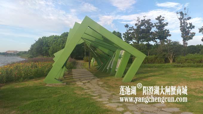 阳澄湖半岛——清晨