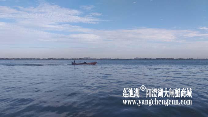 阳澄湖半岛——清晨