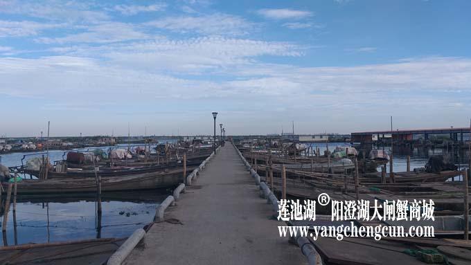 阳澄湖半岛——清晨