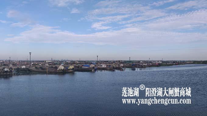 阳澄湖半岛——清晨