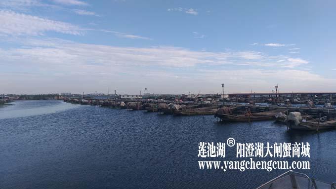 阳澄湖半岛——清晨