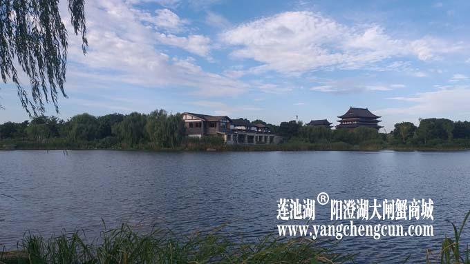 阳澄湖半岛——清晨