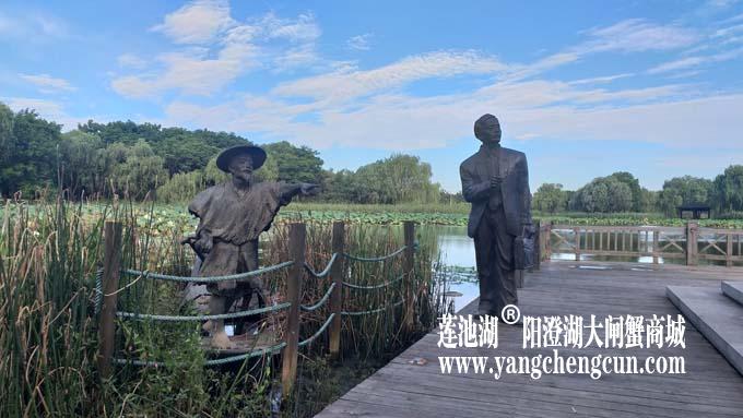 阳澄湖半岛——清晨