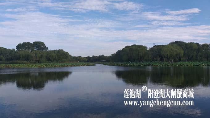 阳澄湖半岛——清晨