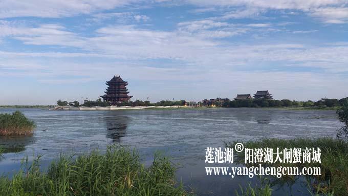 阳澄湖半岛——清晨