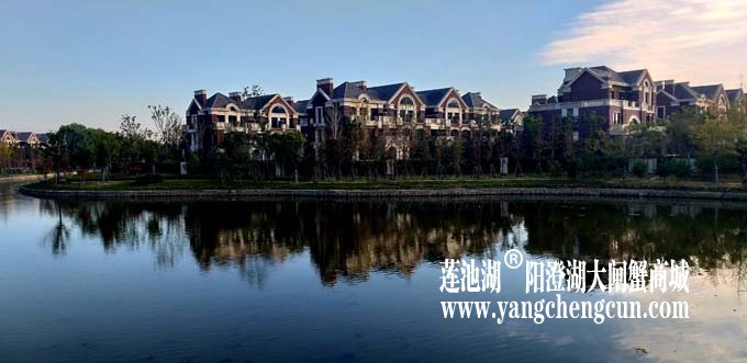 阳澄湖半岛-水晶天