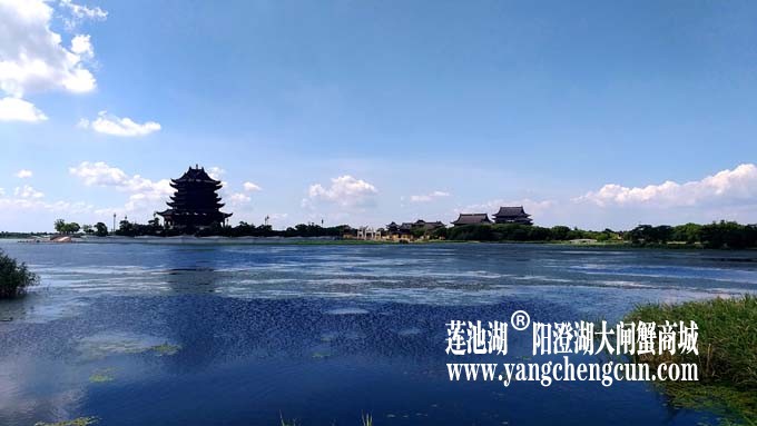 阳澄湖半岛-水晶天