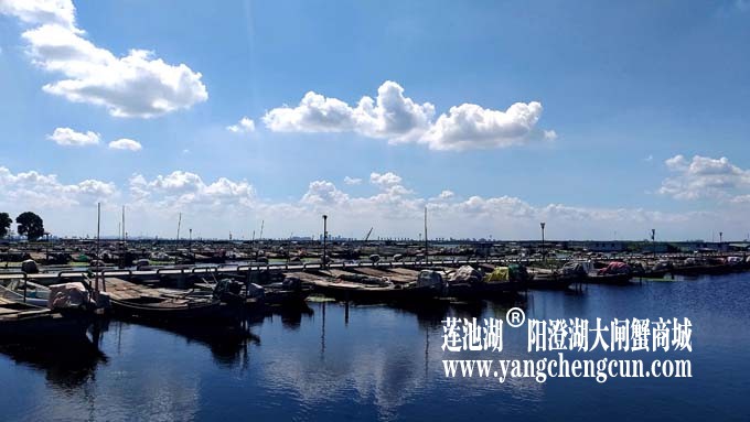 阳澄湖半岛-水晶天