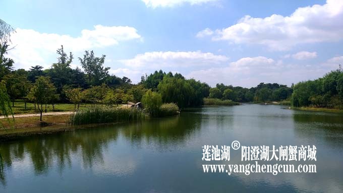 阳澄湖半岛-水晶天