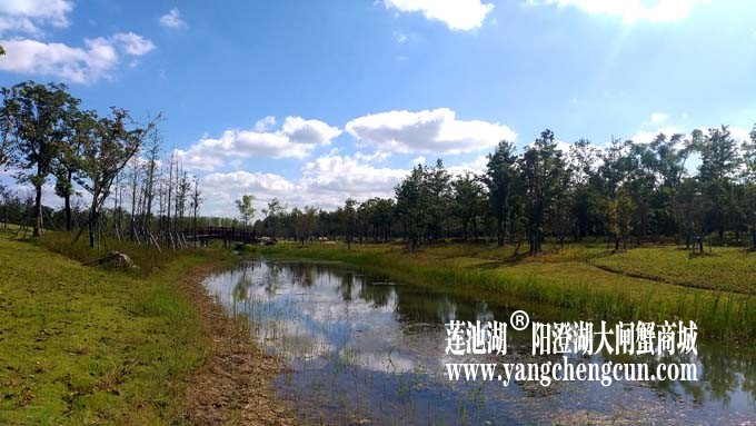 阳澄湖半岛-水晶天