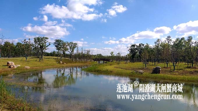 阳澄湖半岛-水晶天