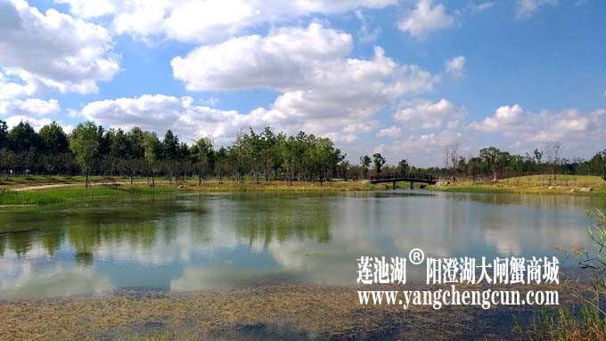 阳澄湖半岛-水晶天