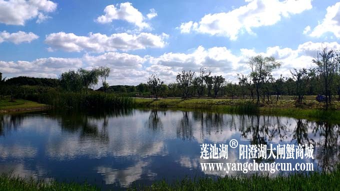 阳澄湖半岛-水晶天