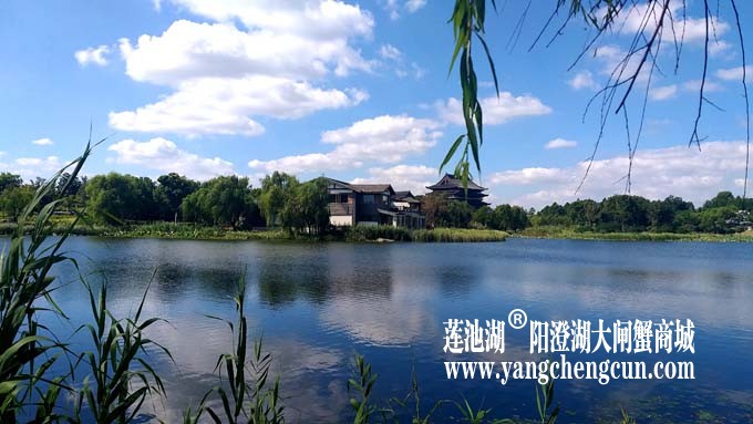 阳澄湖半岛-水晶天