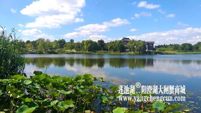 阳澄湖半岛-水晶天