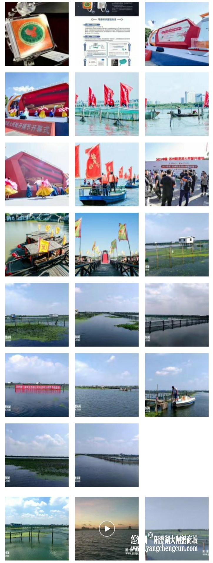 阳澄湖大闸蟹养蟹人的朋友圈