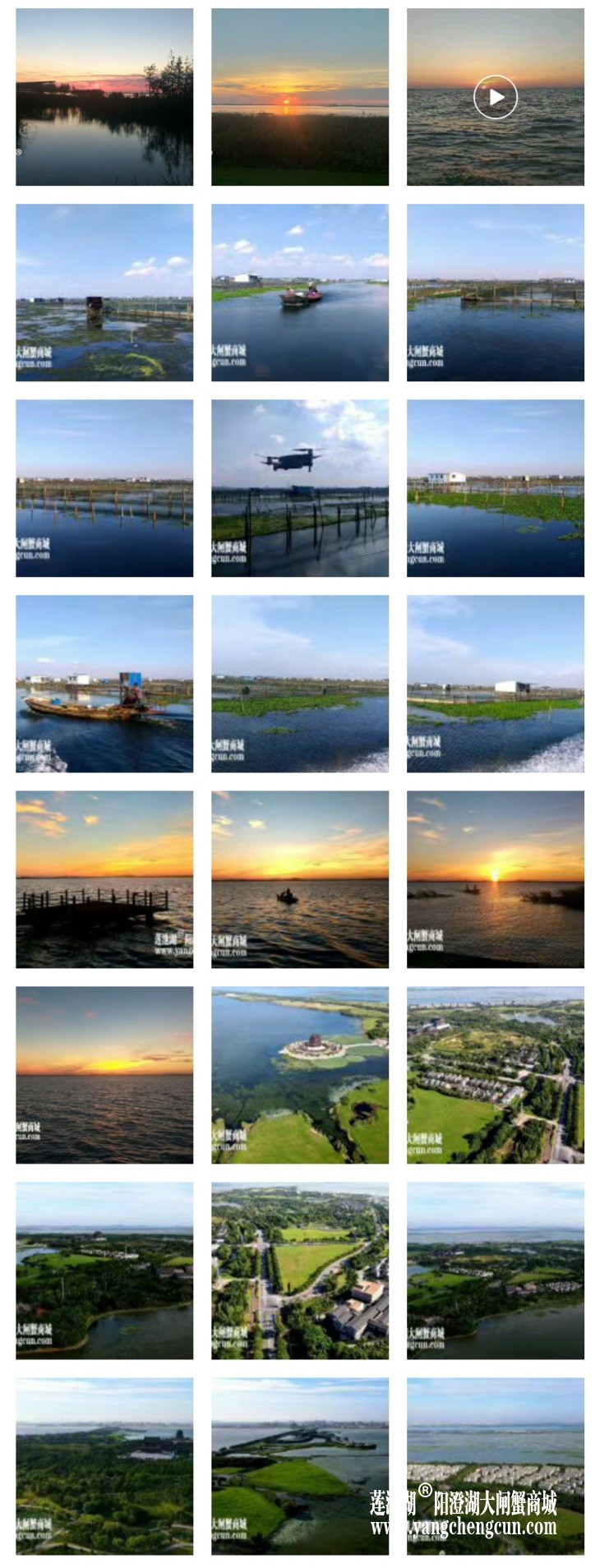 阳澄湖大闸蟹养蟹人的朋友圈