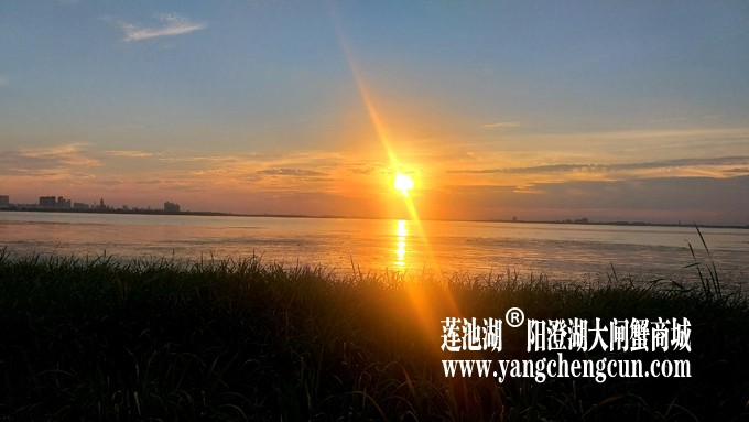 阳澄湖日落