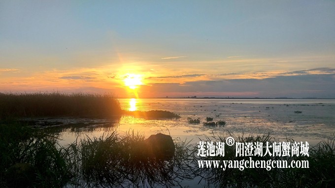 阳澄湖日落