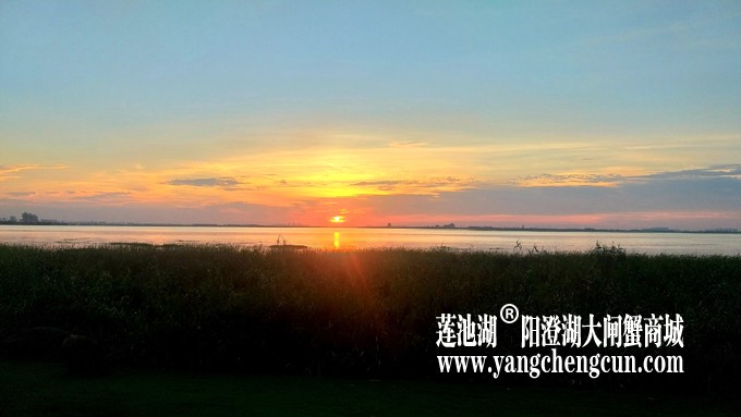 阳澄湖日落