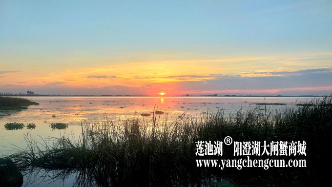 阳澄湖日落