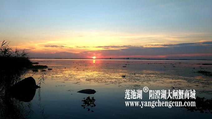 阳澄湖日落