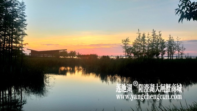 阳澄湖日落