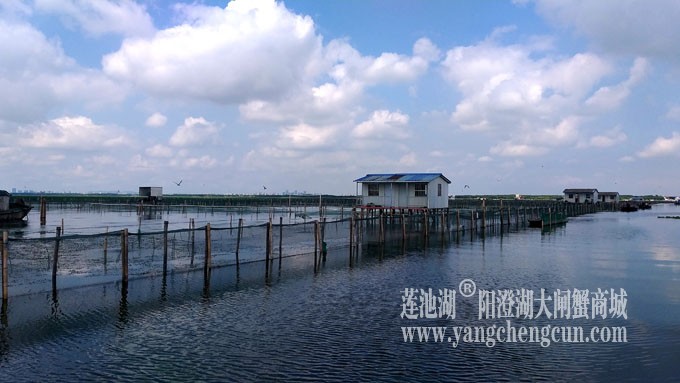 蓝天白云的日子(阳澄湖上)