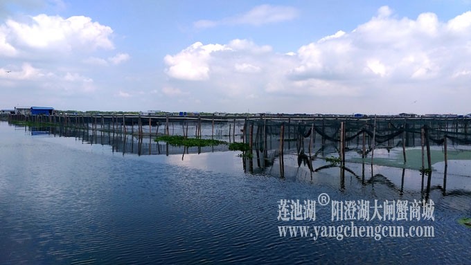 蓝天白云的日子(阳澄湖上)