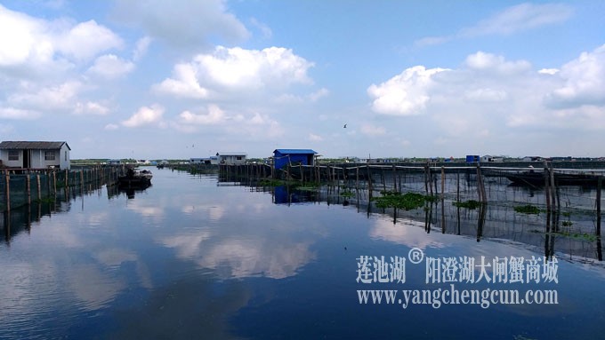 蓝天白云的日子(阳澄湖上)