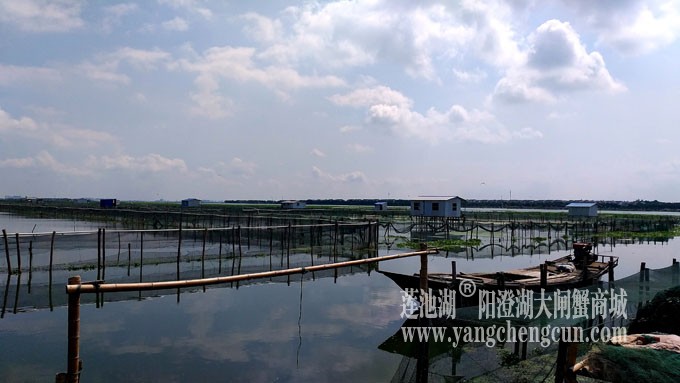 蓝天白云的日子(阳澄湖上)