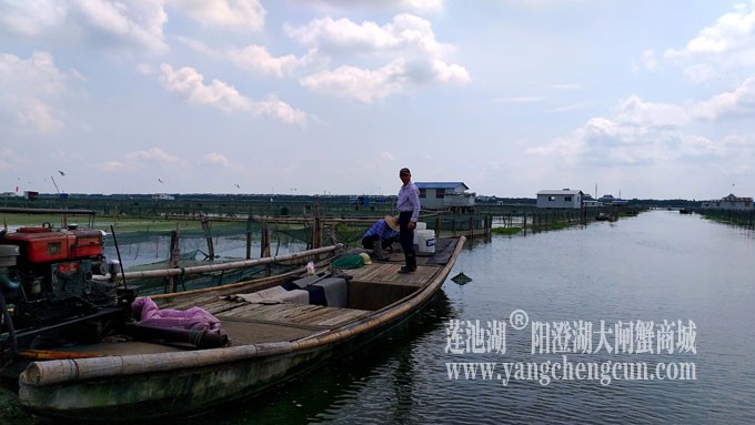 蓝天白云的日子(阳澄湖上)