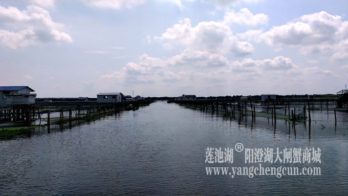 蓝天白云的日子(阳澄湖上)