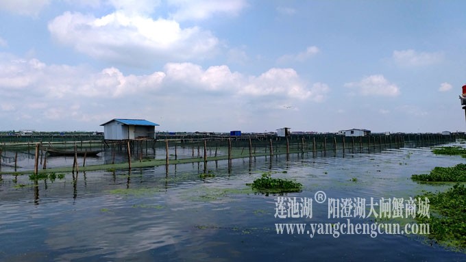 蓝天白云的日子(阳澄湖上)