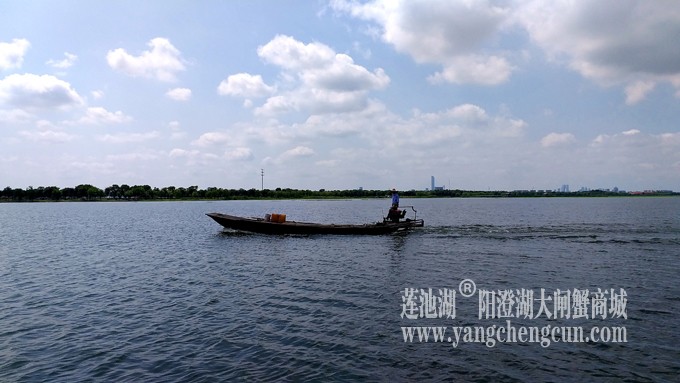 蓝天白云的日子(阳澄湖上)