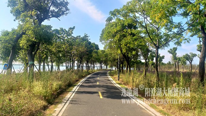 蓝天白云的日子(自行车道)