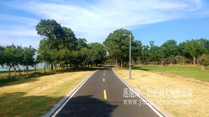 蓝天白云的日子(自行车道)