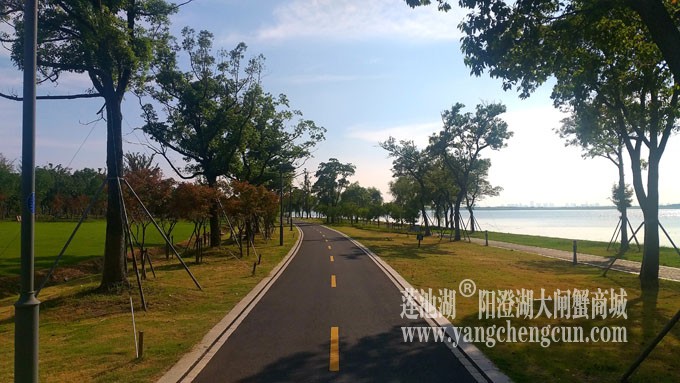 蓝天白云的日子(自行车道)